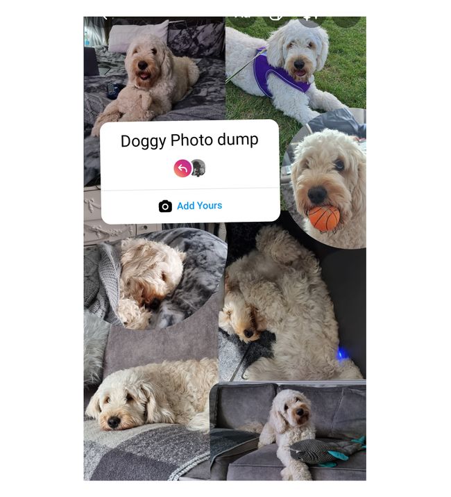 What is a "photo dump" and why are people sharing them? Digital