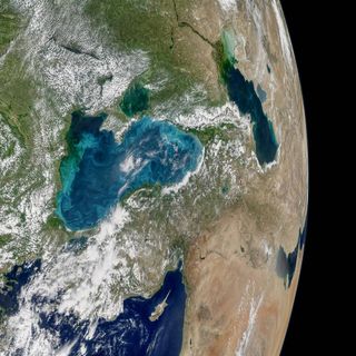 Phytoplankton swirl in the Black Sea