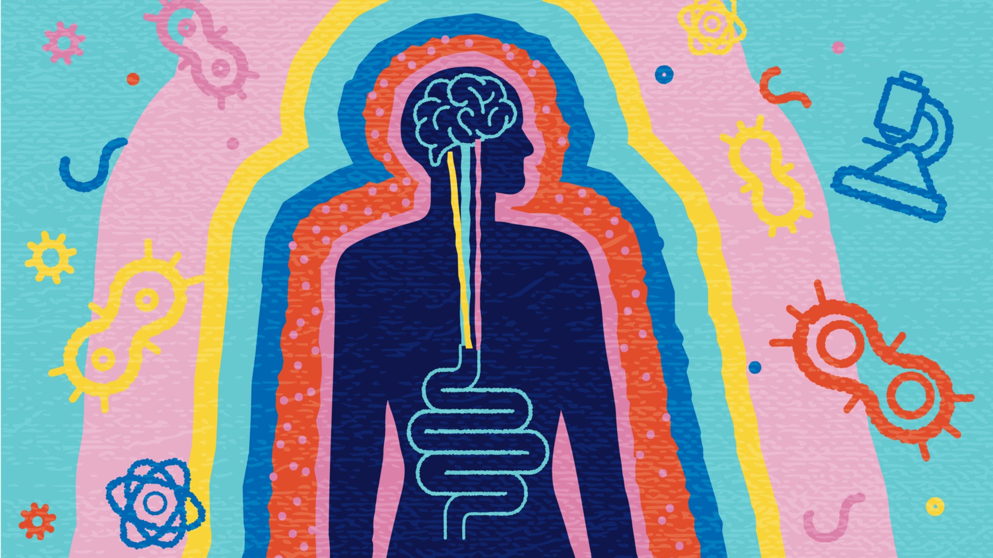 Illustration of silhouette of human with brain and intestine surrounded by gut bacterium and science elements