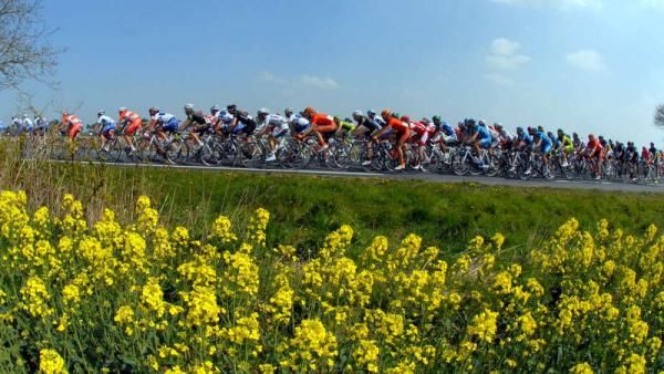 The peloton of the Tro Bro Leon