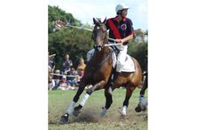 banjopolocrosse.jpg