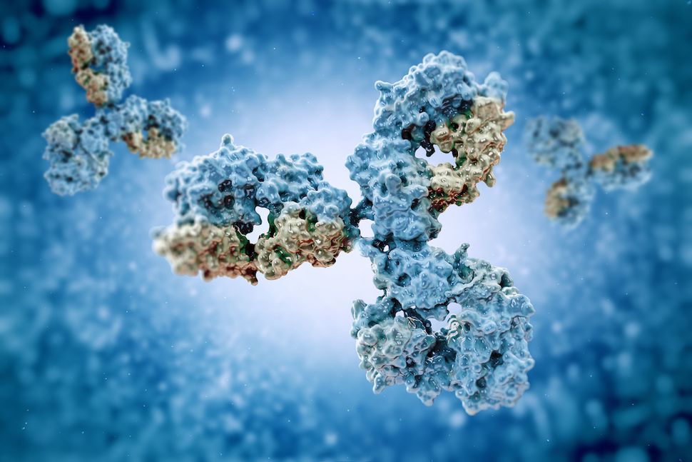FDA approves first antibody test in the US to detect the coronavirus