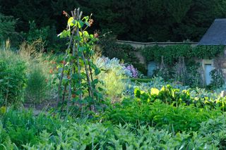 The garden at Banks Fee, Gloucestershire