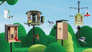 Graphic of Birdfy feeder cameras against an illustrated outdoor background