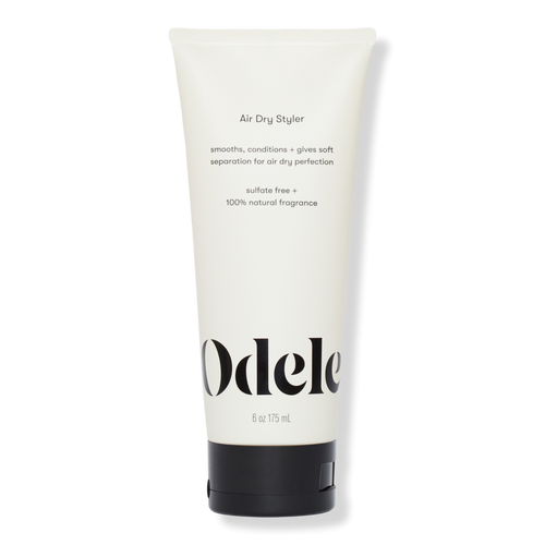 Air Dry Styler
