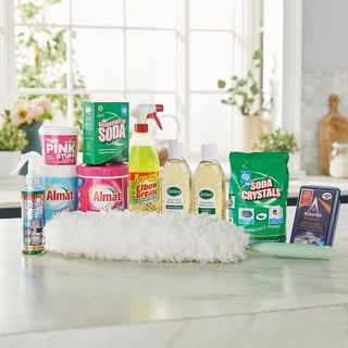 cleaning products and disinfectant