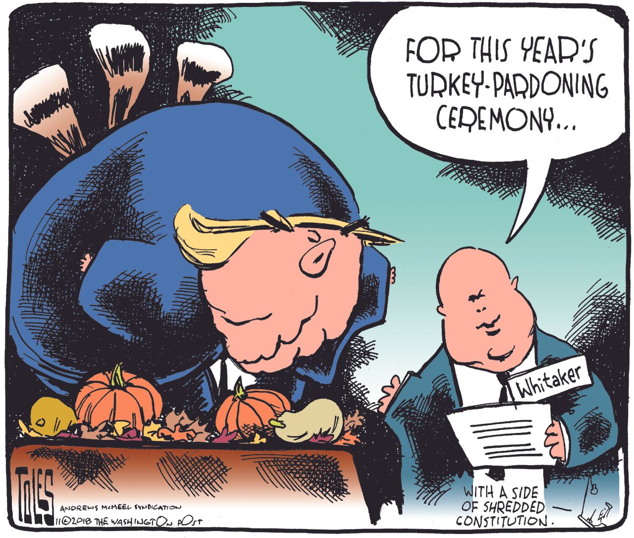 Political cartoon U.S. Trump turkey pardon shredded Constitution Matthew Whitaker