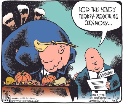 Political cartoon U.S. Trump turkey pardon shredded Constitution Matthew Whitaker