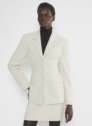 Aritzia, Babaton Standout Blazer