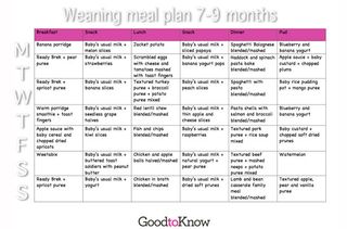 baby food meal planner 7 - 9 months