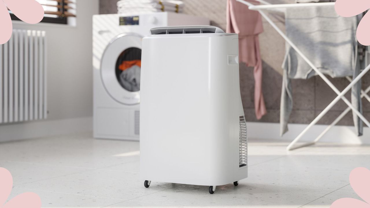picture of dehumidifier in laundry room