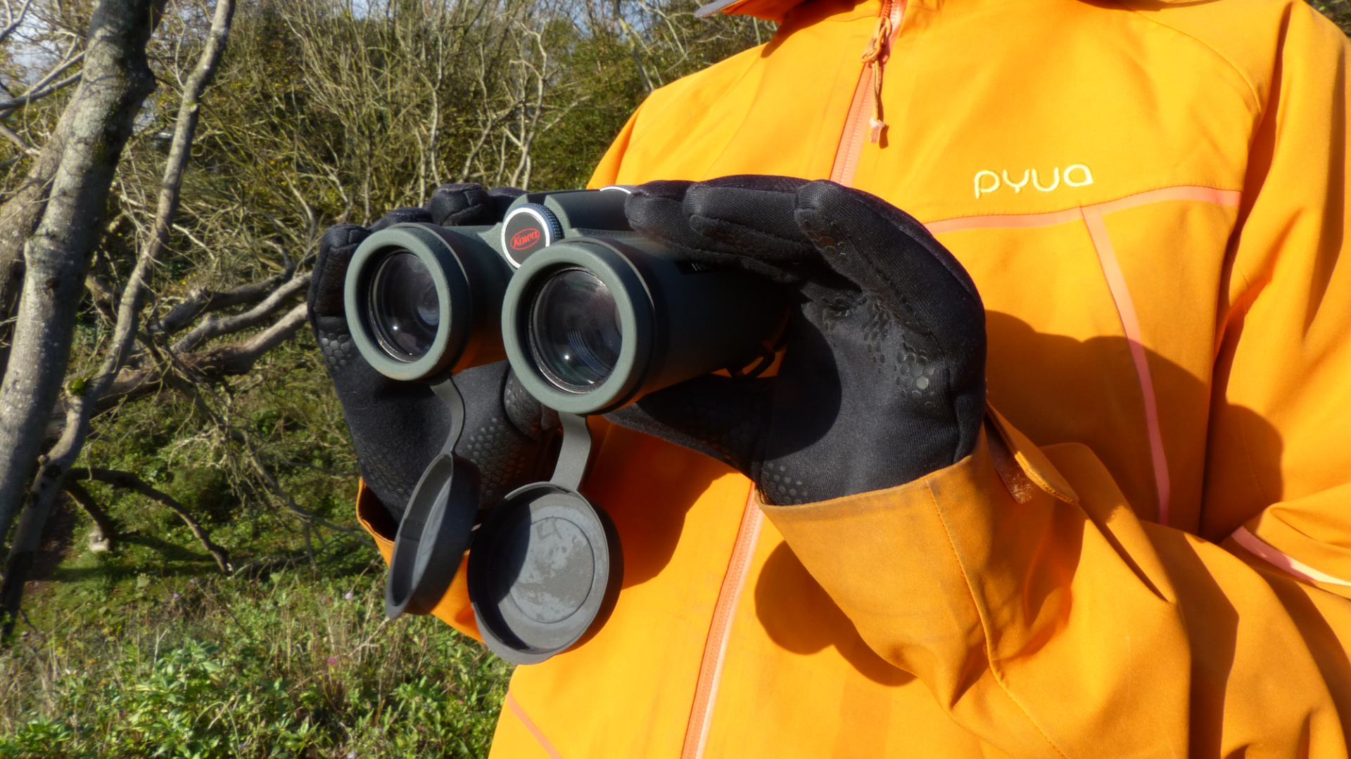 Kowa BD32-8XD binoculars review: premium bins with the closest