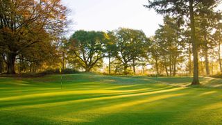 Swaffham Golf Club - Hole 17