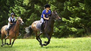 Two females cantering their horses