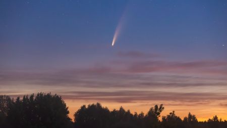 A bright streak of pink and white light is seen in a light purple and orange dusky sky as a comet moves above silhouetted trees below.