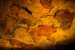 A replica of a painting of bison from the Altamira Cave in Cantabria, Spain.