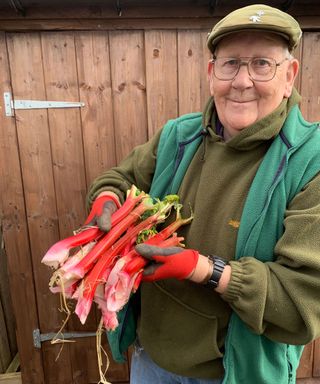 gerald stratford and his home grown rhubarb