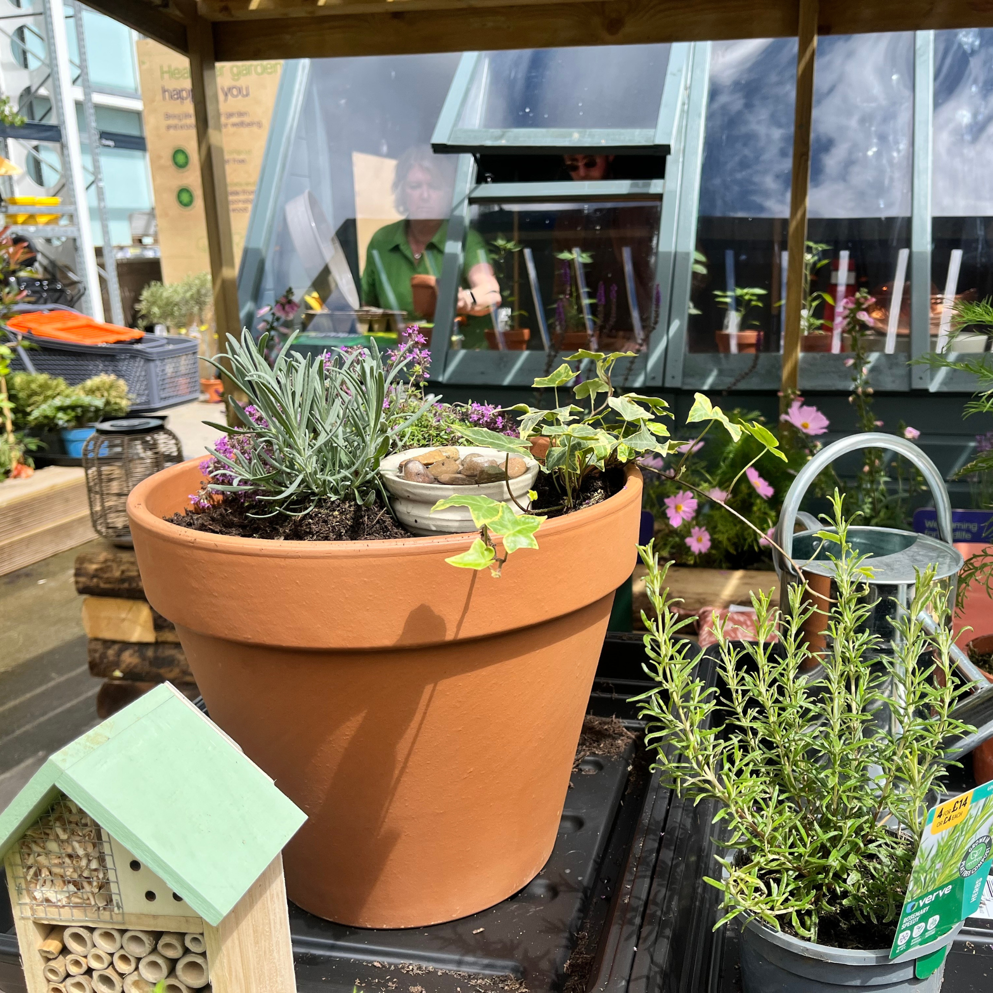 Close-up of pollinator pathway at B&amp;amp;Q Cheltenham store.