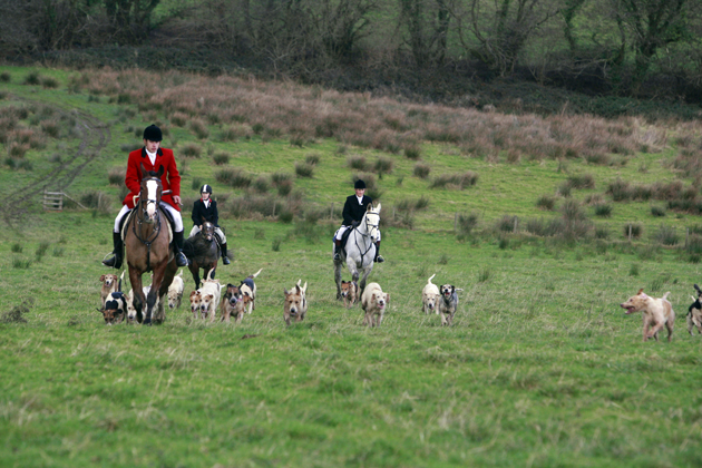 Carmarthenshire Hunt 20 12 2014