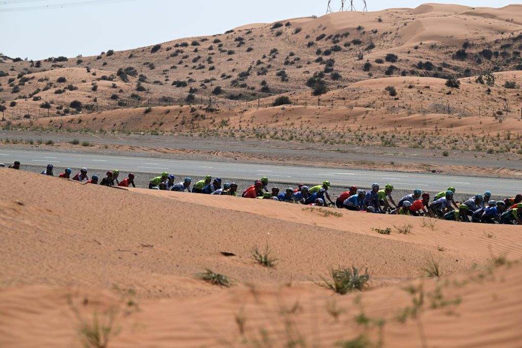 The peloton in the early stages of stage five of the UAE Tour 2024