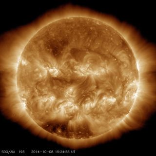 NASA's Solar Dynamics Observatory's view of the sun Oct. 8, 2014 in 193 angstrom extreme ultraviolet light.