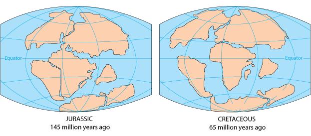 The supercontinent Pangaea began to drift apart during the Jurassic Period.