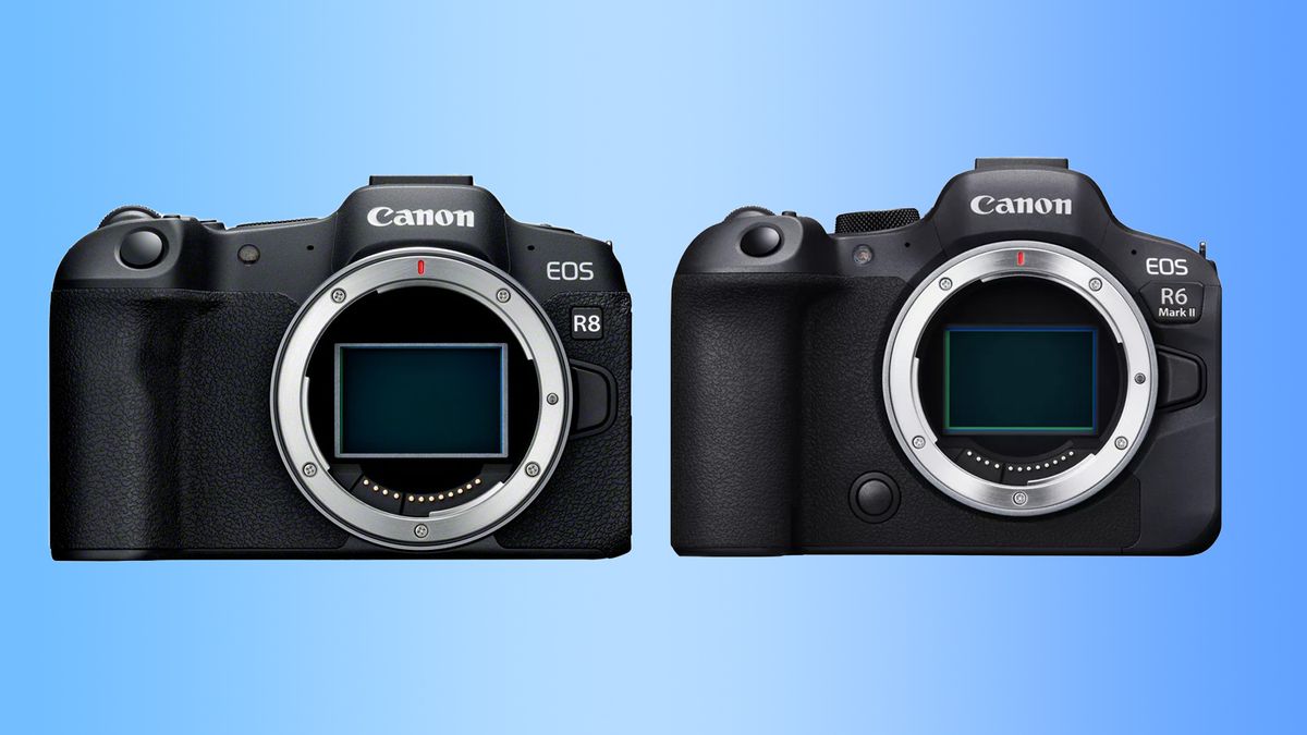Canon R8 vs R6 Mark II