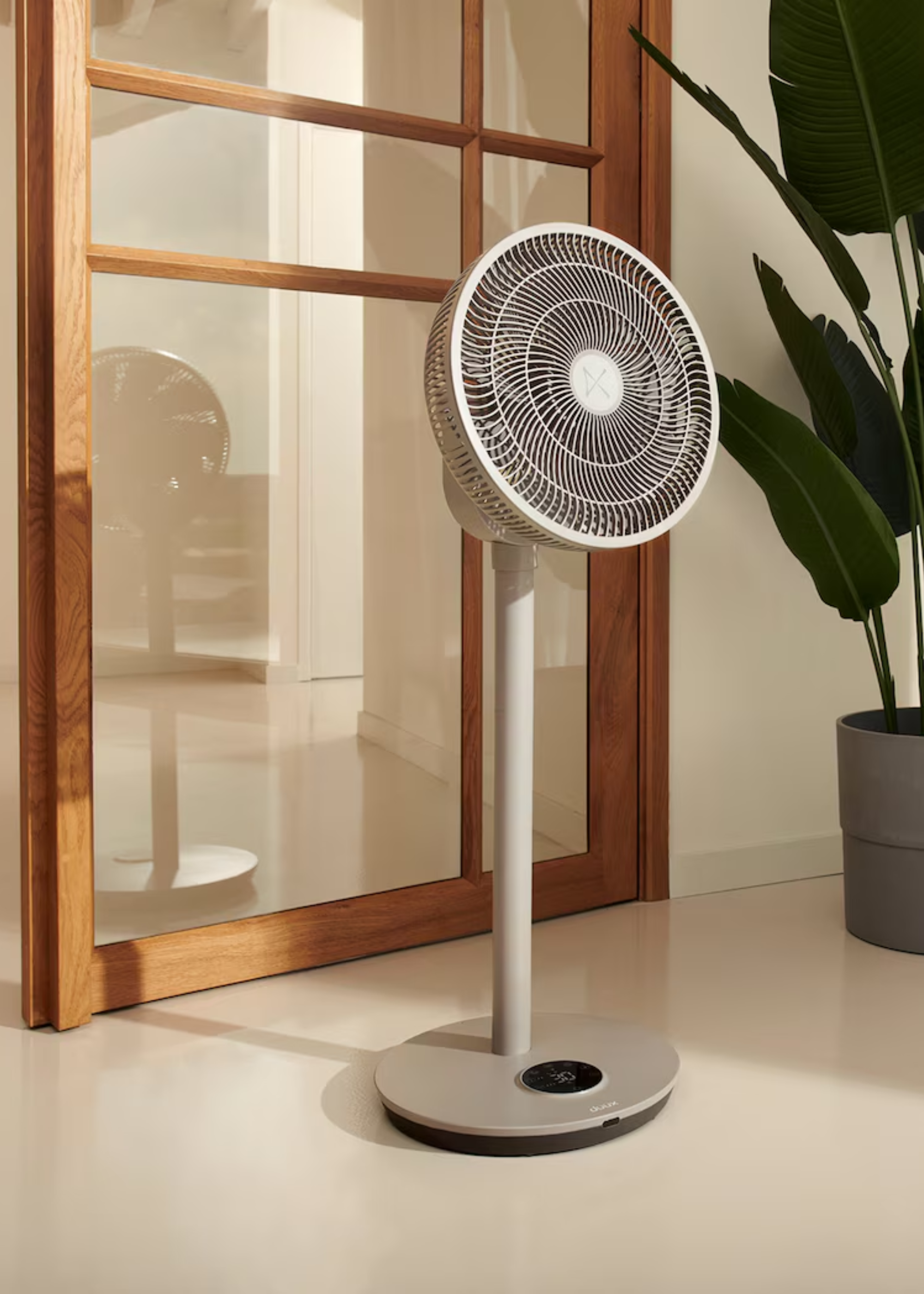 A pedestal fan beside a potted plant