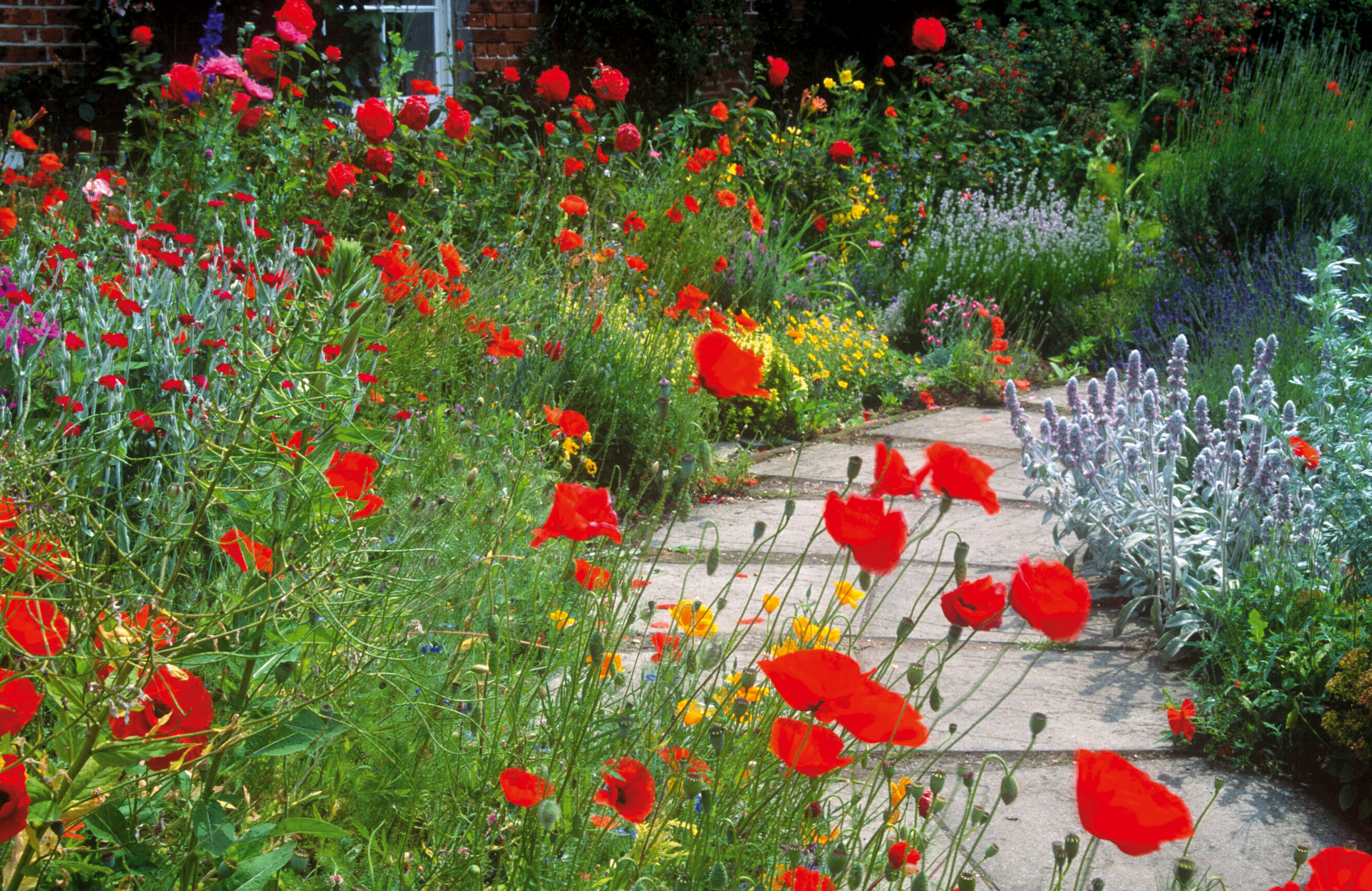 winding path through flower borders