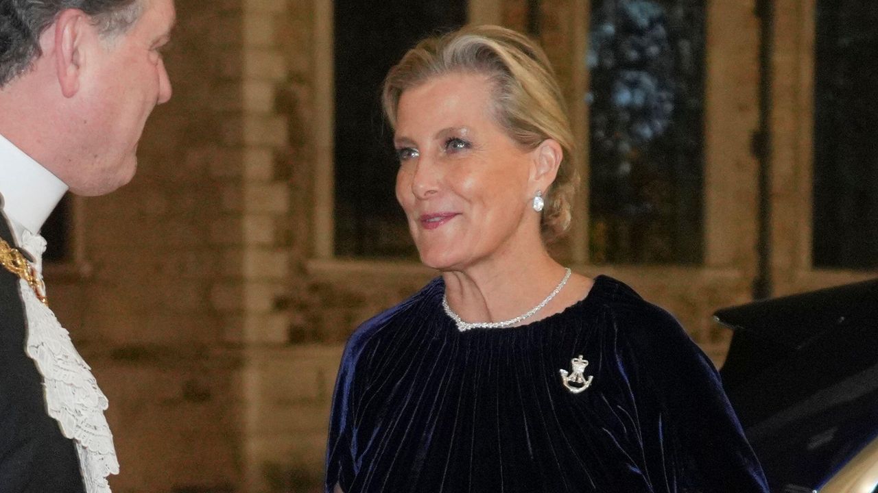 Sophie, Duchess of Edinburgh arrives to attend the Biennial RIFLES Awards Dinner wearing a velvet dress
