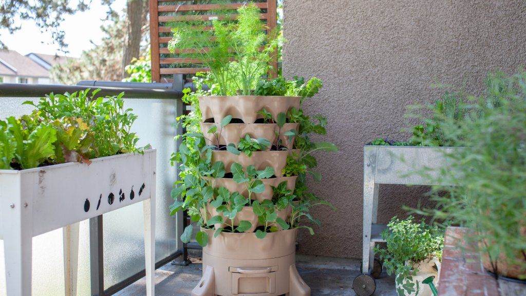 Many plants growing in a vertical container