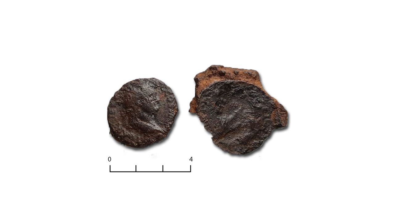 A heavily corroded coin found by the Aa river with an image of the Roman Emperor Titus.