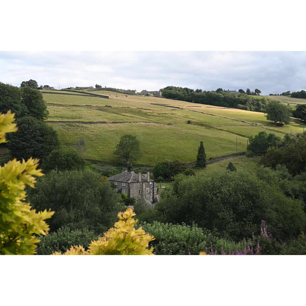 Rolling green hills and stately home