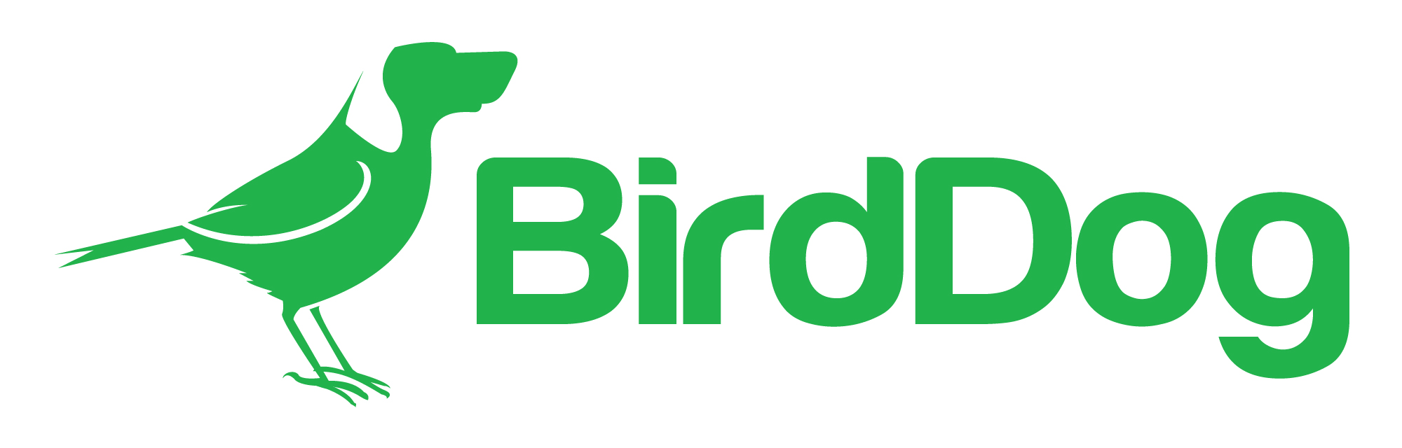 BirdDog logo in green