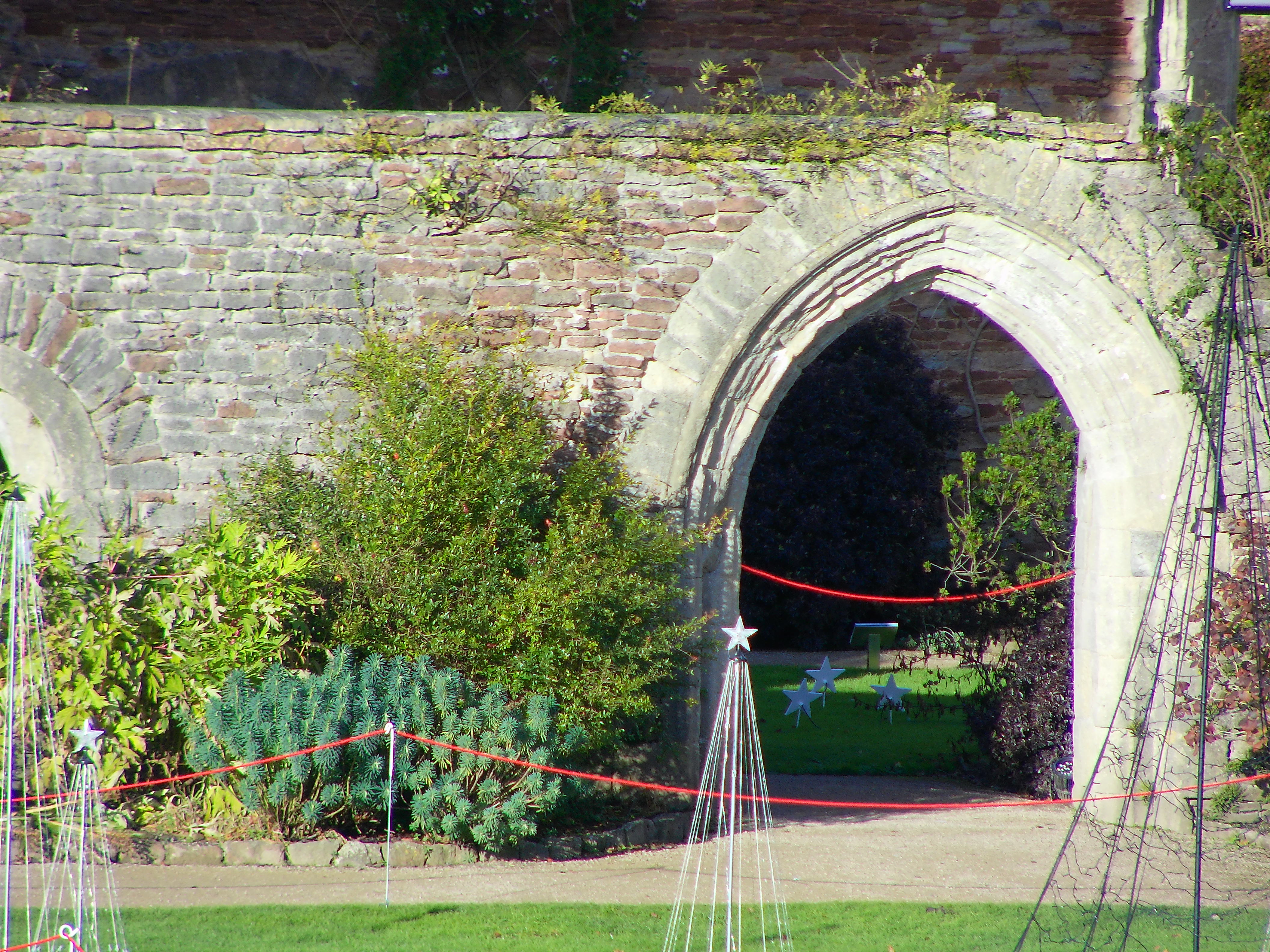 Yashica City 200 example shot