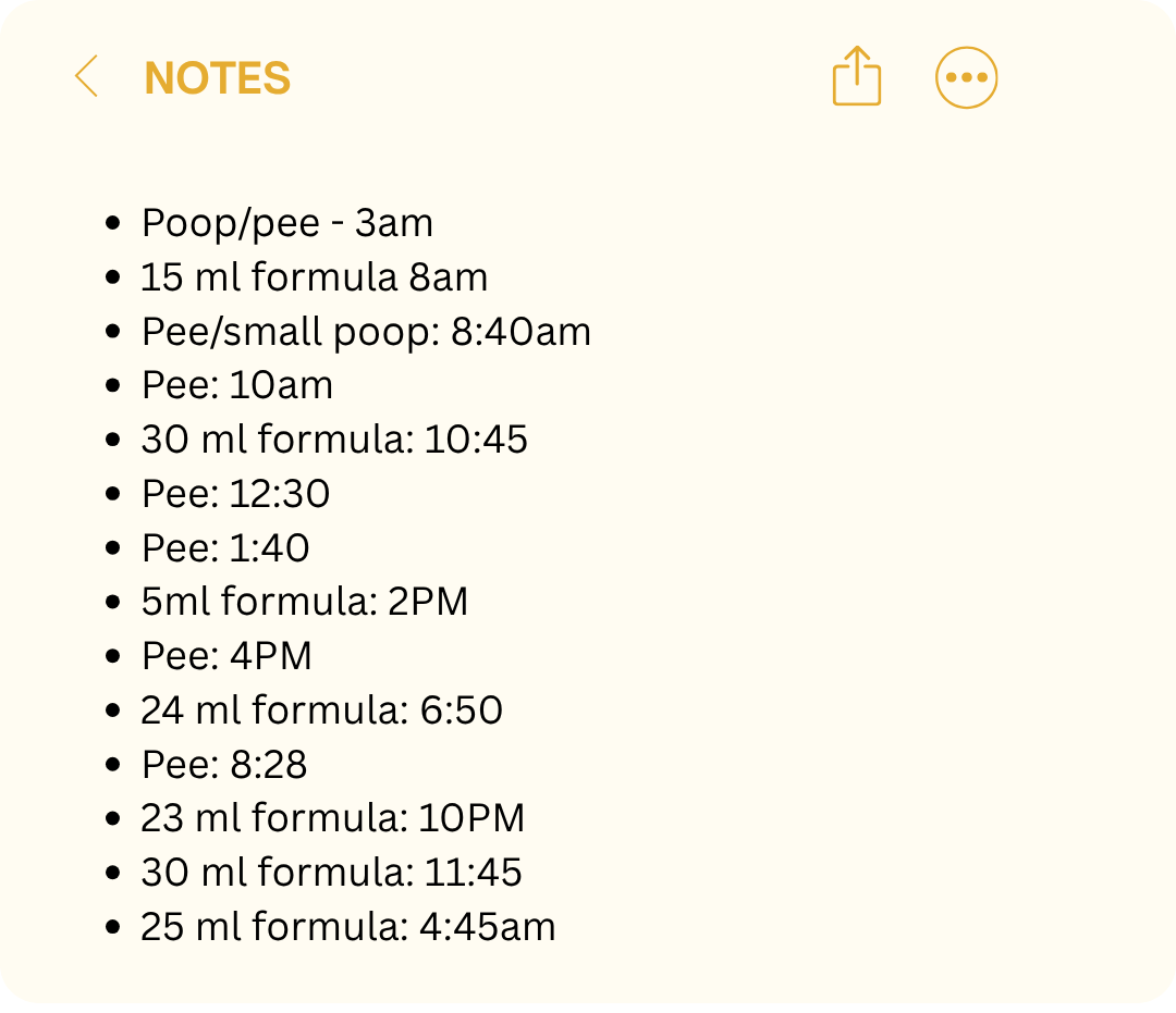 Notes app graphic showing a feeding and diaper log with entries including &amp;ldquo;Poop/pee - 3am,&amp;rdquo; formula amounts, and diaper changes recorded throughout the day and night.