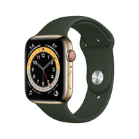 Apple Watch Series 6 - Gold (Stainless Steel, Sport band): was $699 now $579 @ Amazon