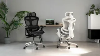 SIHOO Ergonomic Office Chair