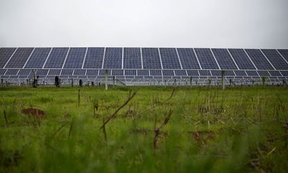 Solar panels on former President Jimmy Carter's farmland.