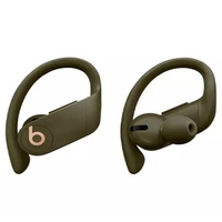 Beats Powerbeats Pro are 20 off in early Black Friday deal T3