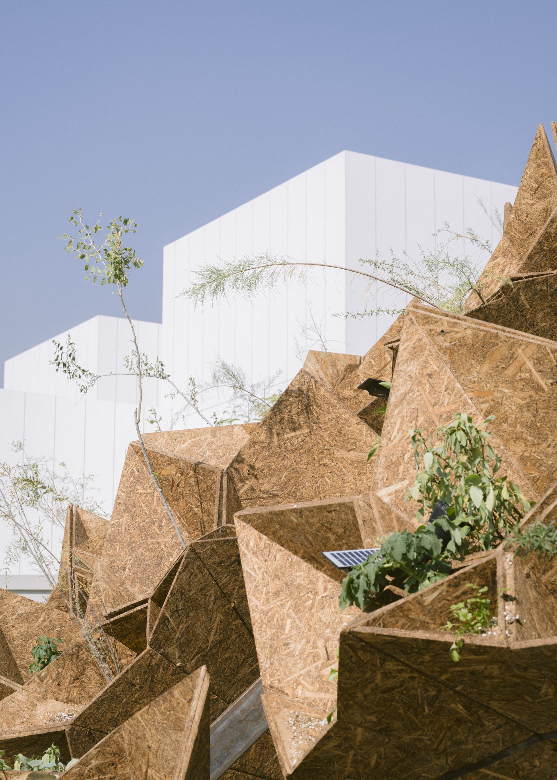 roof of art jameel pavilion