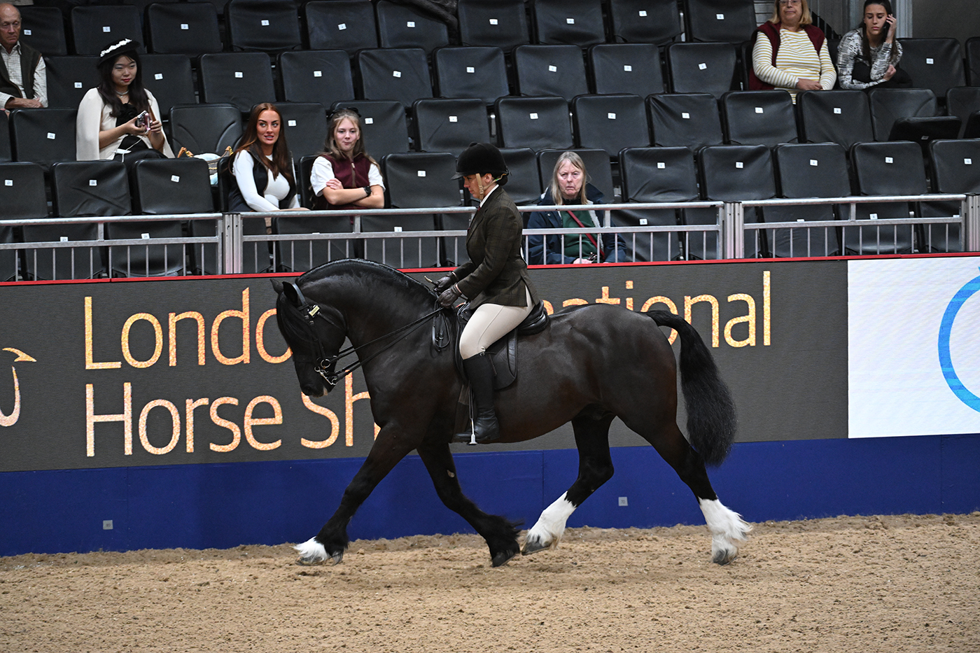 HorseNo25_LIHS_PN23_120813