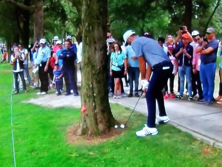 Dustin Johnson Gets Controversial Free Drop From Behind Tree