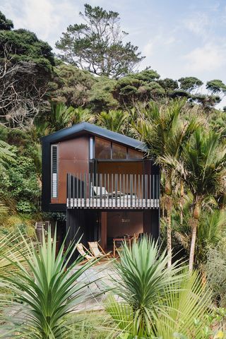 minimalist exterior of a hut in a jungle