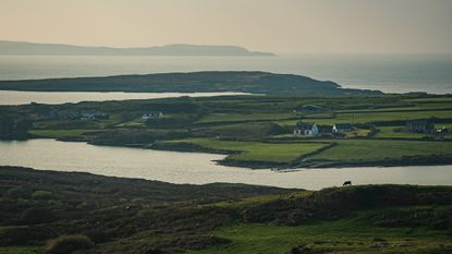 Florence is all well and good, but it's no County Cork.