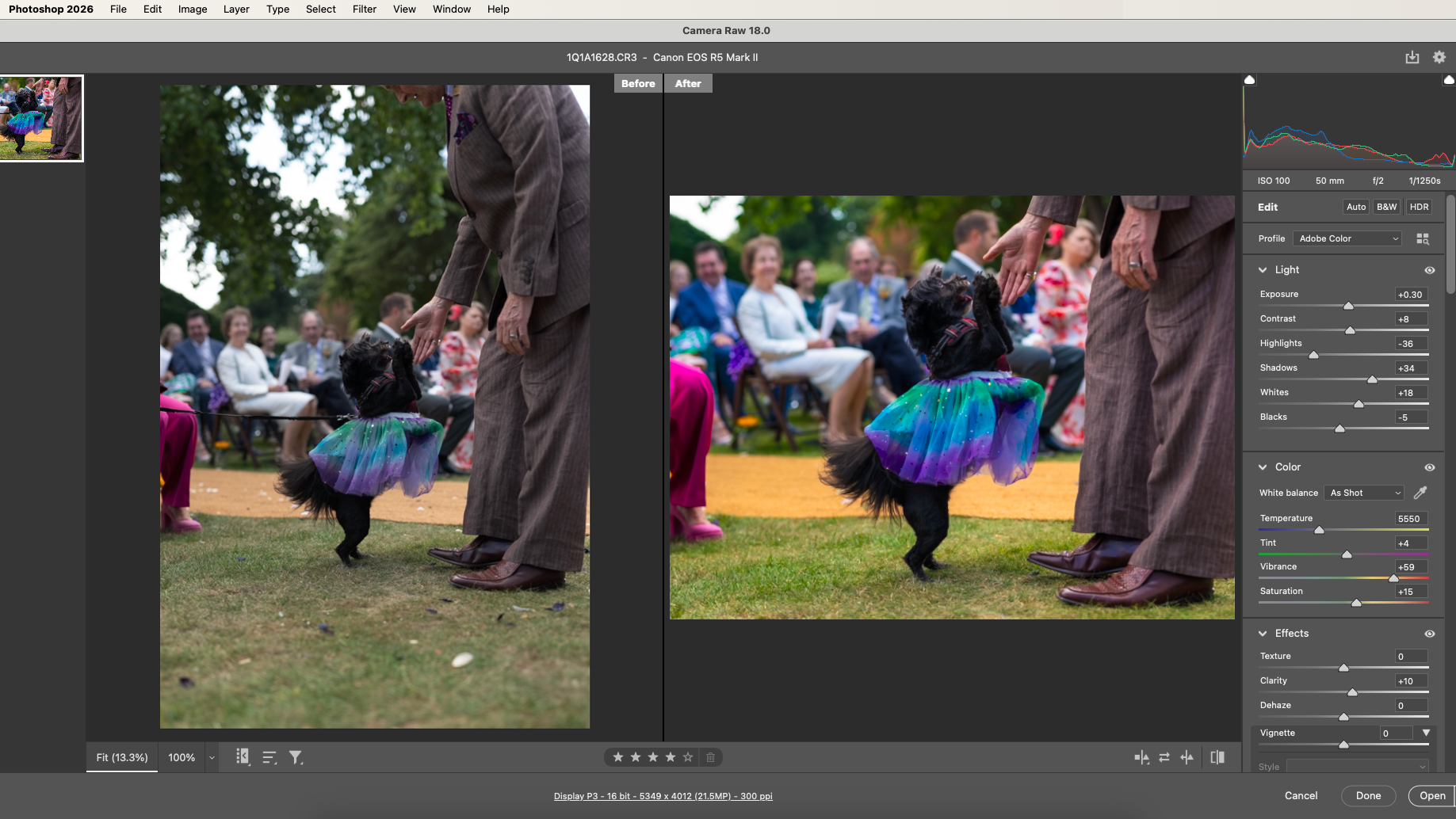 A screenshot of Adobe Camera Raw in Photoshop being used showing the difference between an unedited RAW file on the left and the edited image on the right of the interface