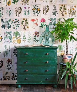 Amsterdam Green Chest Of Drawers by Annie Sloan