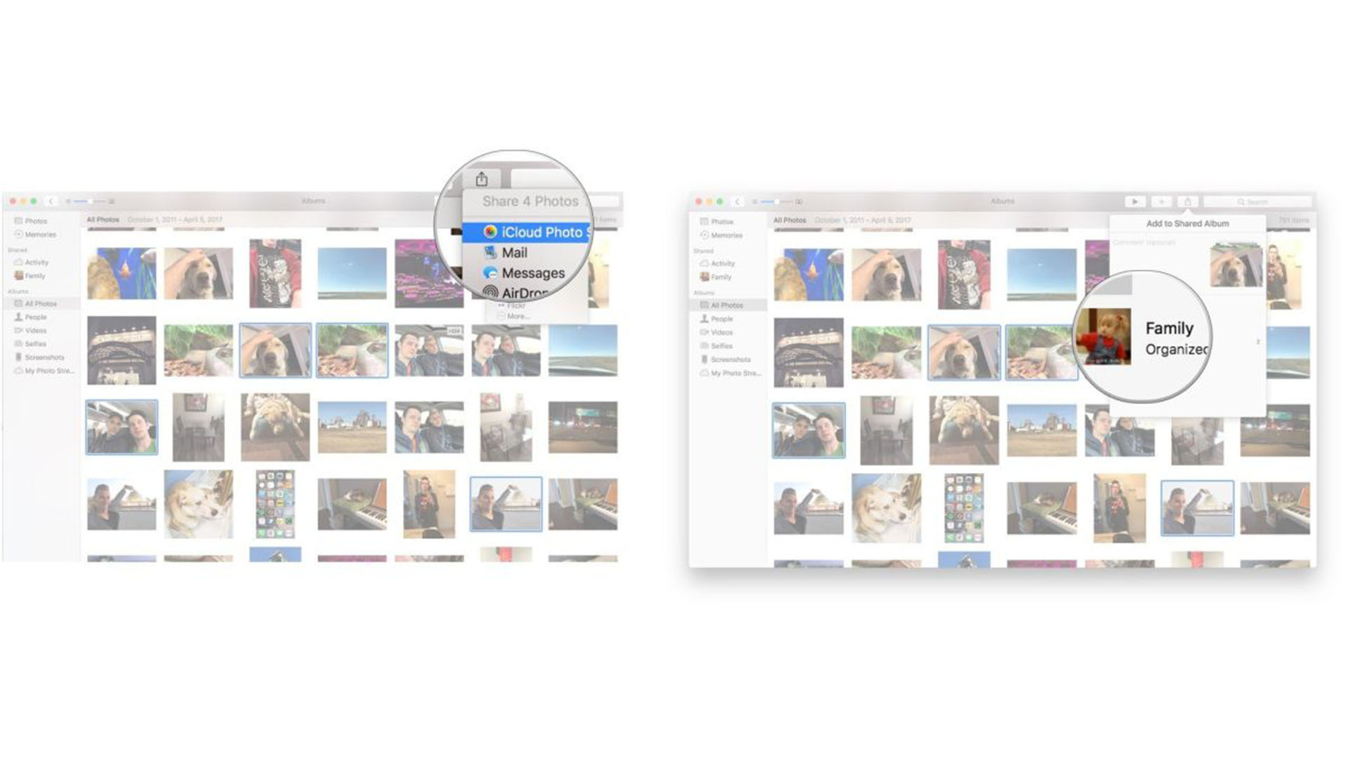 Добавление новых фотографий или видео в Семейный альбом на Mac. Нажмите кнопку «Поделиться», нажмите «Общий доступ к фотографиям iCloud», нажмите «Семья».