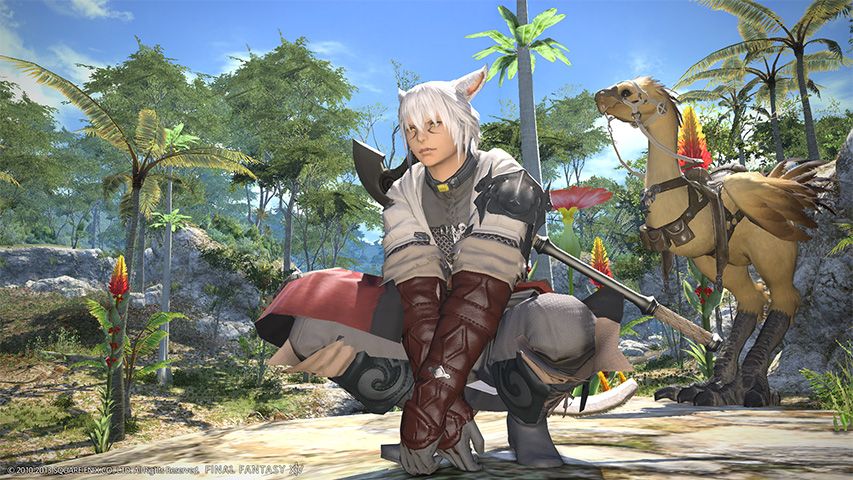 Final Fantasy XIV Nintendo Switch