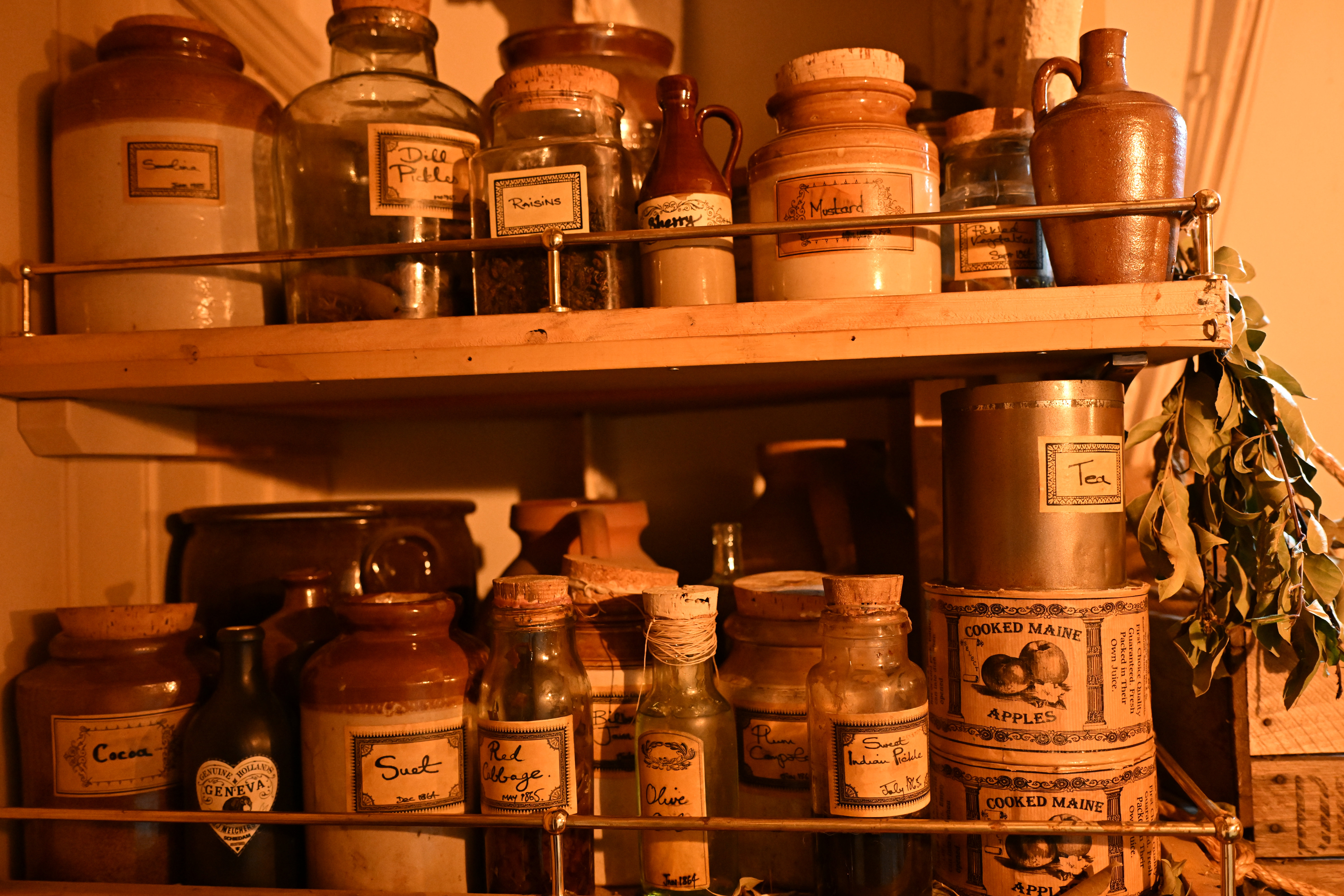 Meike 35mm f/1.8 Pro AF sample shot